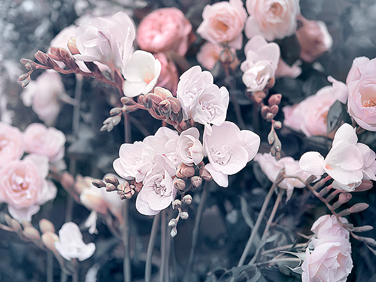 Retouche Lanvin - Éclat de Fleurs