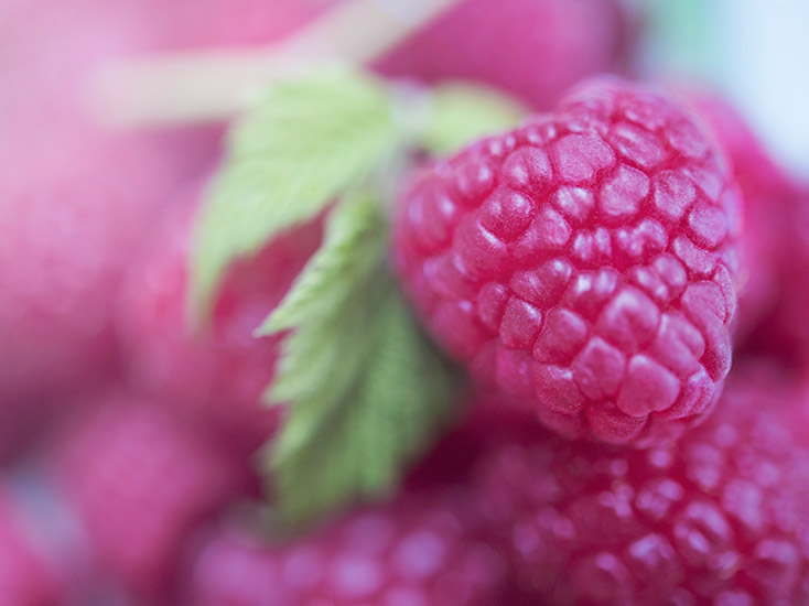 Retouche Jeanne Lanvin Framboise