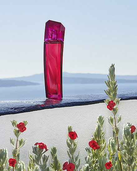 Retouche Escada - Héritage