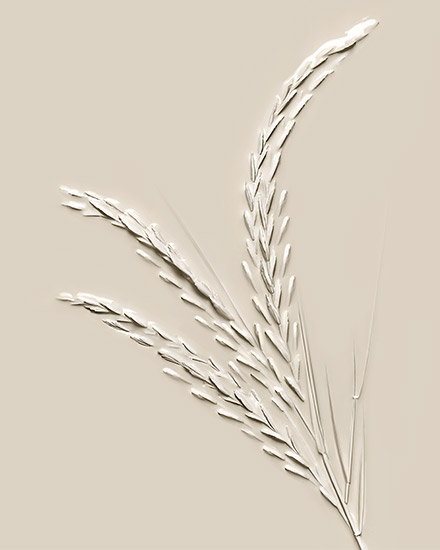 Retouche Subtil Beautist