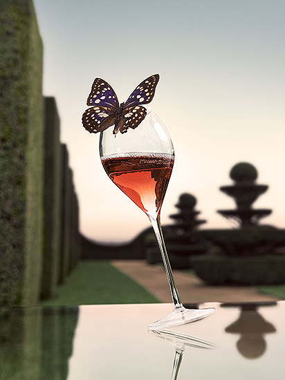 Retouche Champagne Taittinger