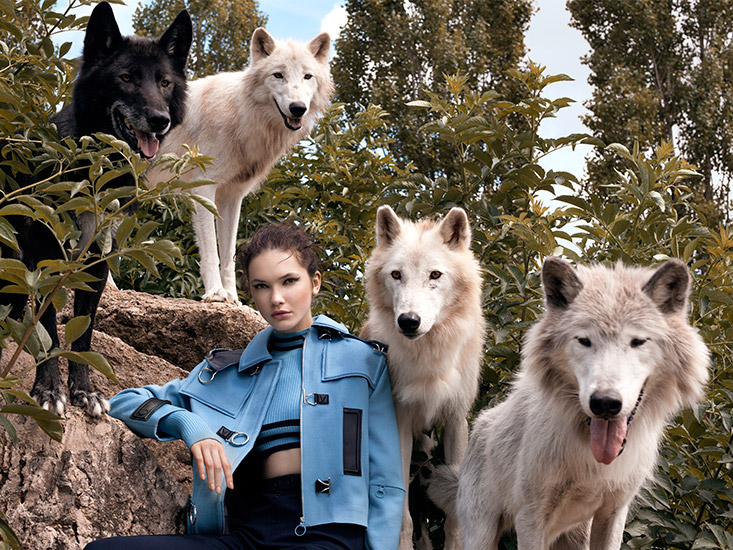 Retouche Belle des Champs