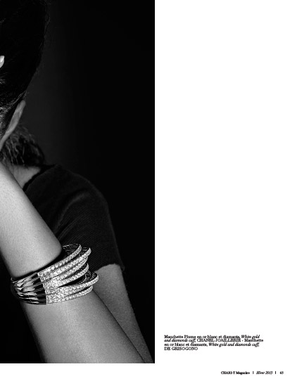 Chari-T Hiver 2013 - Édito La Force du Diamant Chari-T Hiver 2013 - Édito La Force du Diamant